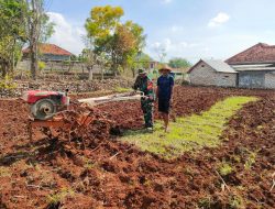 Babinsa Koramil 0826-05 Larangan Berikan Dukungan Aktif kepada Petani Binaan