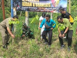 Koramil 0826-13 Pasean Tanam Puluhan Pohon Mahoni Dalam Rangka HUT Ke-75 Kodam V/Brawijaya