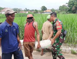 Semangat Gotong Royong Babinsa Koramil 0826-09 Pakong Bangun Kamar Mandi Umum