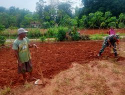 Babinsa Koramil 0826-08 Palengaan Bantu Petani Siapkan Lahan Pertanian