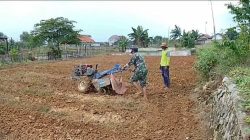 Babinsa  Rombuh Bantu Petani di Wilayah Binaannya. Bajak Lahan Pertanian