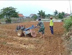 Babinsa  Rombuh Bantu Petani di Wilayah Binaannya. Bajak Lahan Pertanian