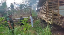 Babinsa Koramil 0826-09/Pakong Bantu Warga Desa Palalang Pembuatan Kandang Kambing.