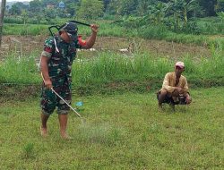 Babinsa Koramil 0826-09/Pakong Bantu Petani Semprot Rumput Liar di Dusun Pandian Desa Palalang Pakong