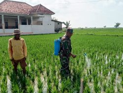 Sertu Muhamad Bahri Bantu Penyemprotan Pembasmi Hama Anggota Poktan Dahlia 3 di Desa Jarin