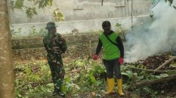 Sertu Agus Salim Bersama Perangkat Desa Laksanakan Karya Bhakti Penebangan Pohon Jati