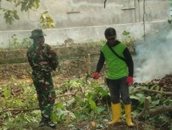 Sertu Agus Salim Bersama Perangkat Desa Laksanakan Karya Bhakti Penebangan Pohon Jati
