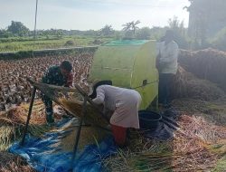 Pererat Hubungan Dengan Warga Binaan Serda Andri Pucahyono Bantu Warga Panen Padi