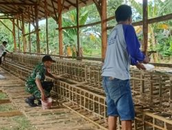 Babinsa Koramil Tlanakan Komsos  Sekaligus Bantu Warga Binaan Bangun Kandang Ayam