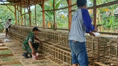 Babinsa Koramil Tlanakan Komsos  Sekaligus Bantu Warga Binaan Bangun Kandang Ayam