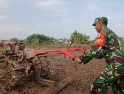 BabinsWargaa Koramil Pademawu Komsos Bersama  Sekaligus Bantu Membajak Sawah