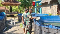 Dampingi Peternak Lele, Babinsa Larangan Perkuat Ketahanan Pangan