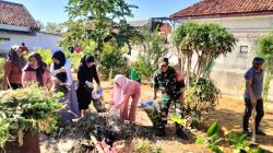 Tanaman Obat Digarap Bersama, Babinsa Larangan Tunjukkan Sinergi