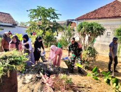 Tanaman Obat Digarap Bersama, Babinsa Larangan Tunjukkan Sinergi