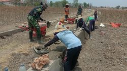 Progres Signifikan! Pembangunan TPT 450 Meter di Dusun Paninggin Desa Jarin Tembus 60 Persen